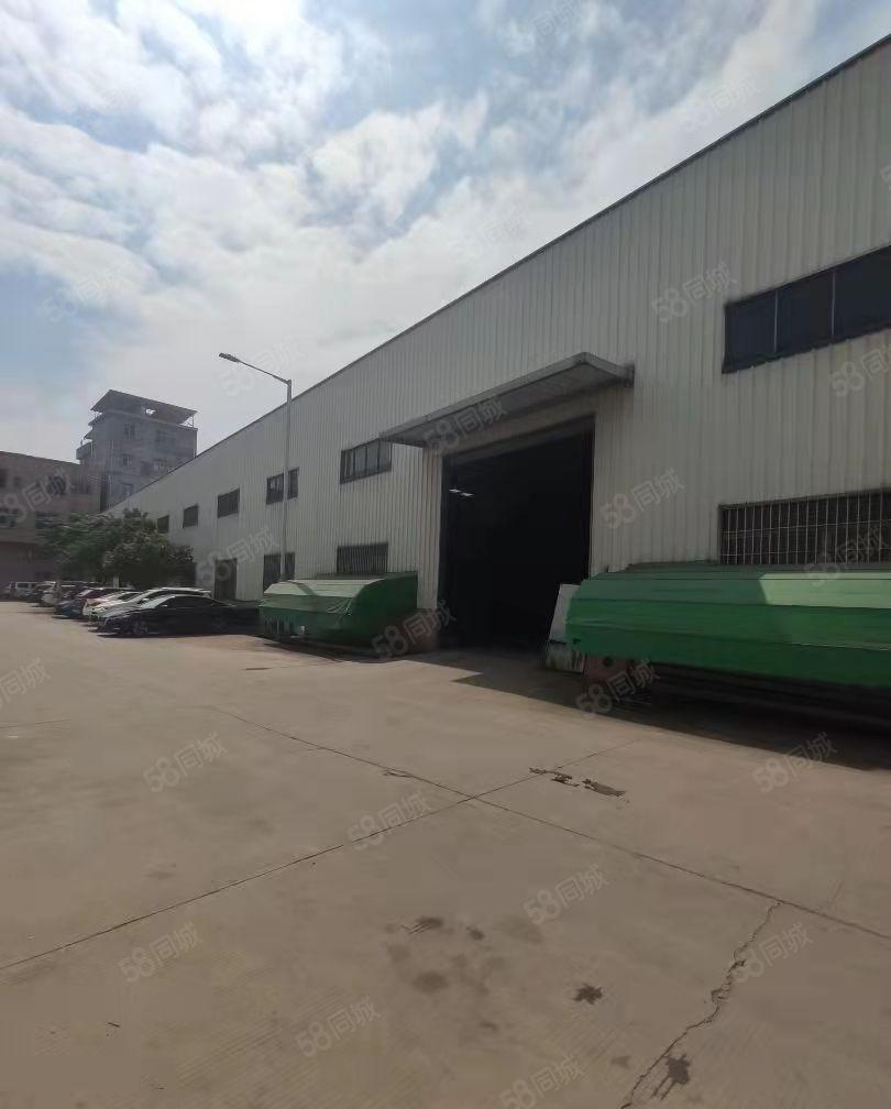 石排镇新出单一层钢结构厂房滴水11米，大小好分租