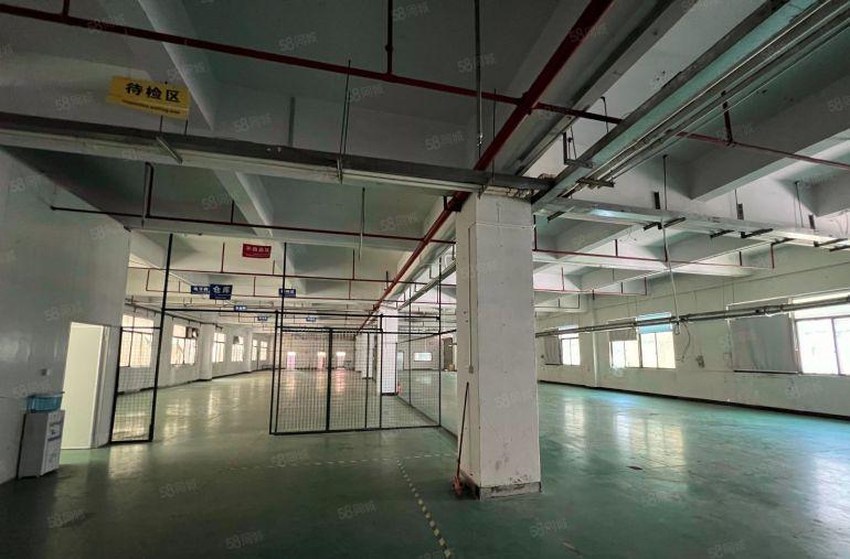 石排镇庙边王独院厂房出租一层现成精装修注塑车间