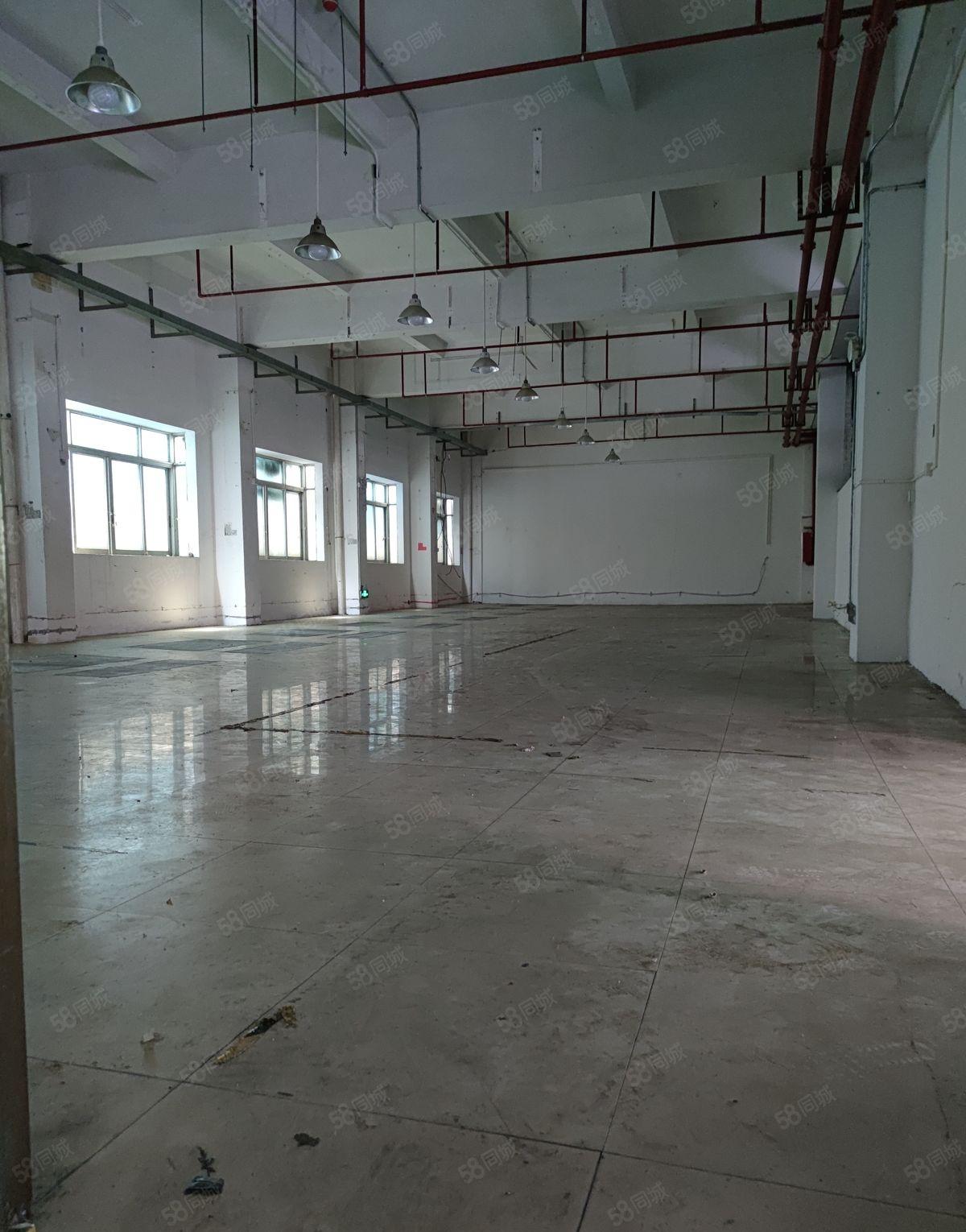 实图石排利丰旁智汇城一楼厂房850平出租 现成水电装修可分租