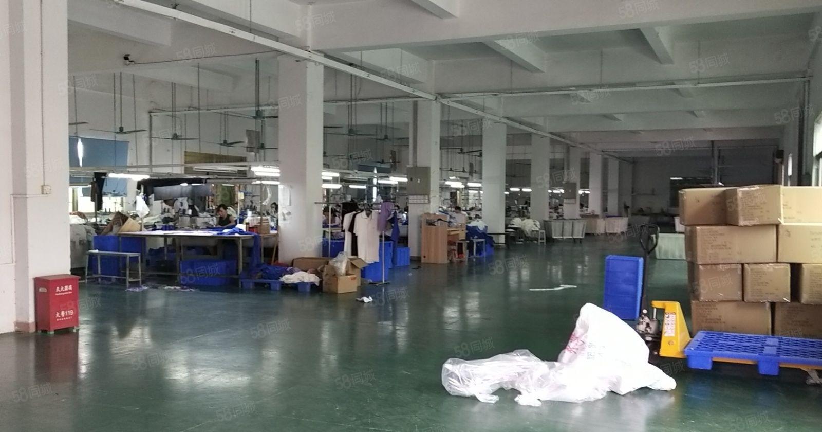 石排标准厂房出租950方，现成办公室，形象好！