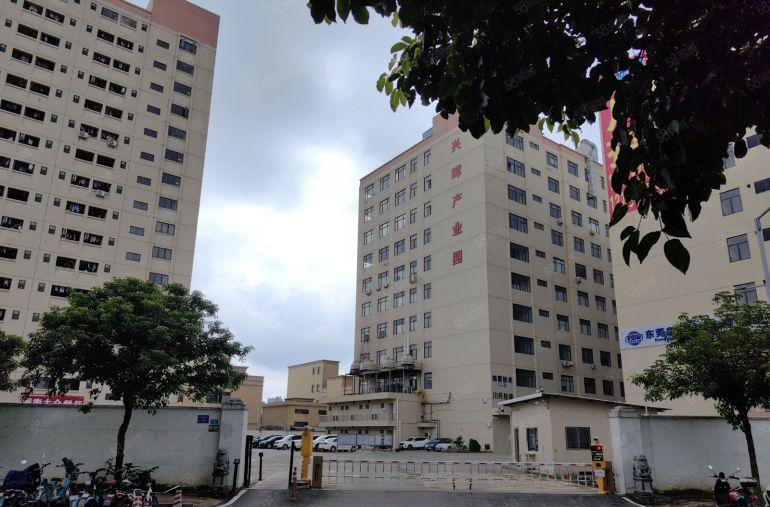 石排镇向西工业区标准厂房出租分租有现成办公室地坪漆装修带客梯