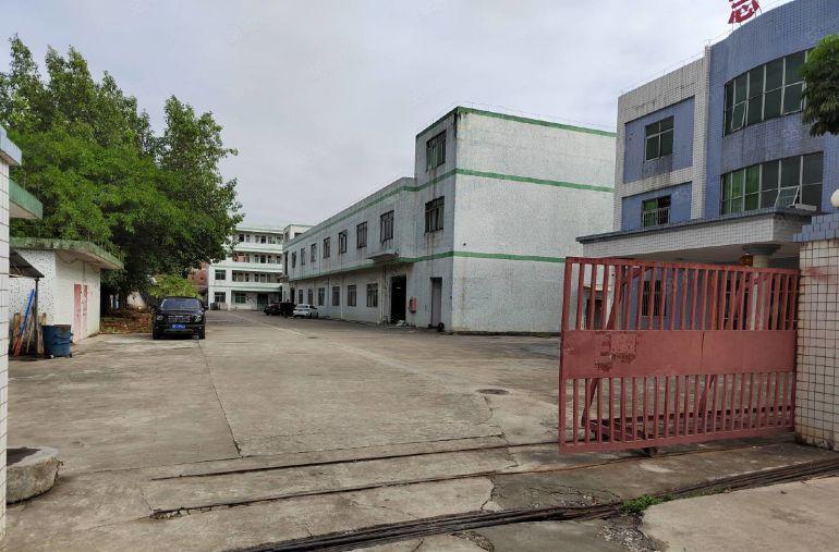 石排镇下沙村 标准原房东一楼600平厂房出租 带装修办公室