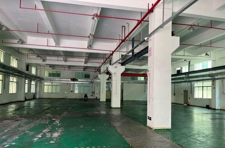 石排新出原房东标准独门独院7500平方带现成装修办公室地坪漆