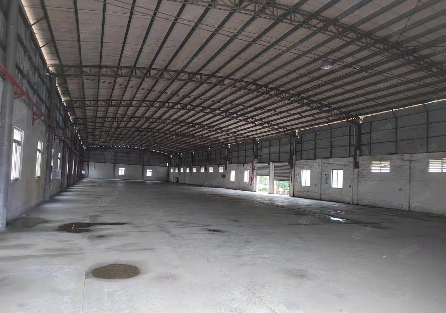 石排镇新出单一层钢结构厂房滴水11米，大小好分租