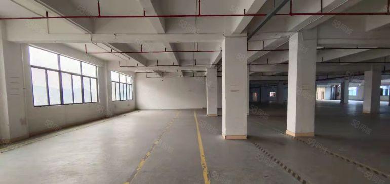 石排原房东一楼和楼上，低价厂房仓库出租100平10元起