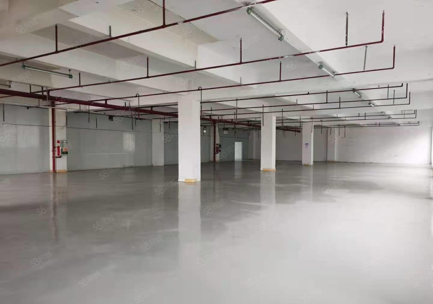 石排新出标准厂房4楼1650方出租，位置佳，形象好