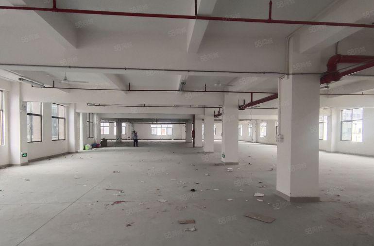 石排原房东一楼和楼上，低价厂房仓库出租100平10元起