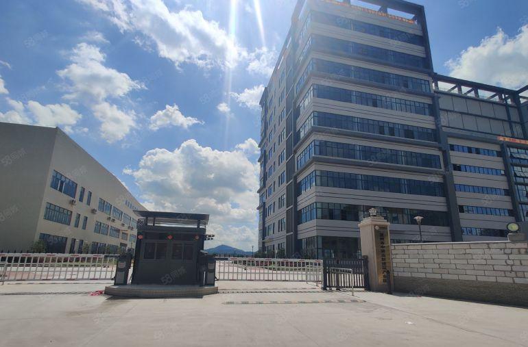 石排原房东厂房仓库出租一楼楼上300平起~6000平独院