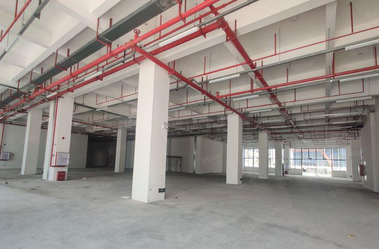 石排原房东厂房仓库出租一楼楼上300平起~6000平独院