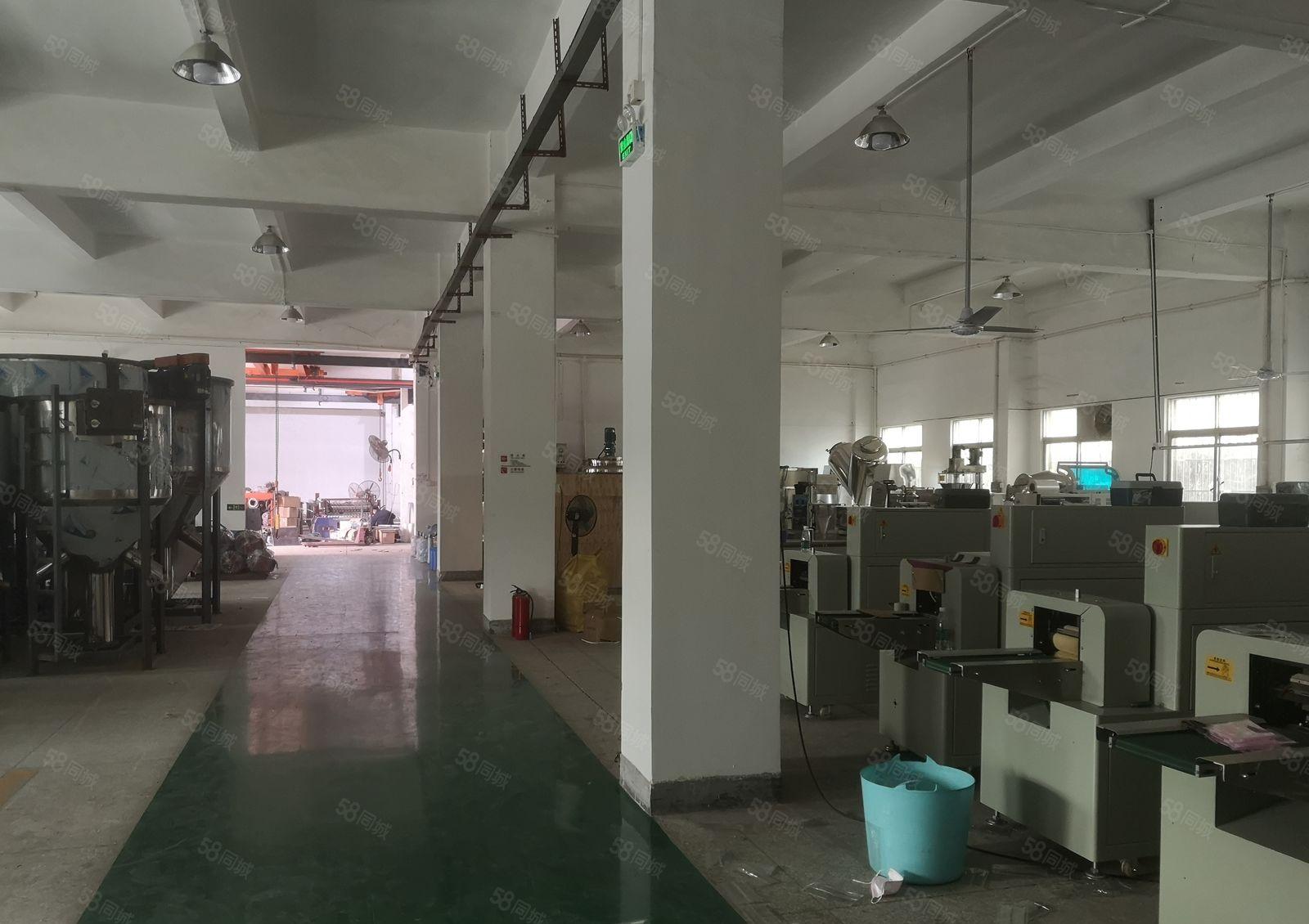 石排镇下沙村新出原房东6000平独院出租 带装修可办环评可分