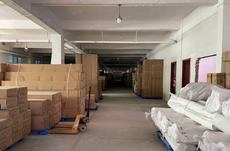 石排镇原房东独院厂房5500平方出租