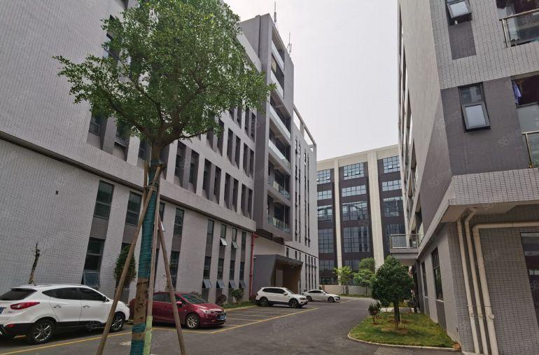 石排首层8米高，一手房东全新标准厂房，21000平方可分租