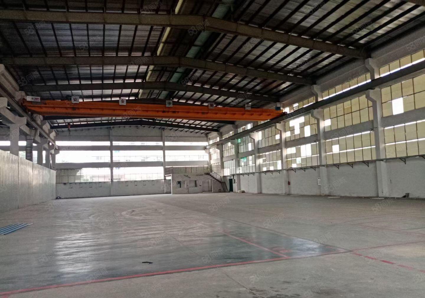 石排新出单一层经典独院滴水8米，总面积3000平方，价格便宜