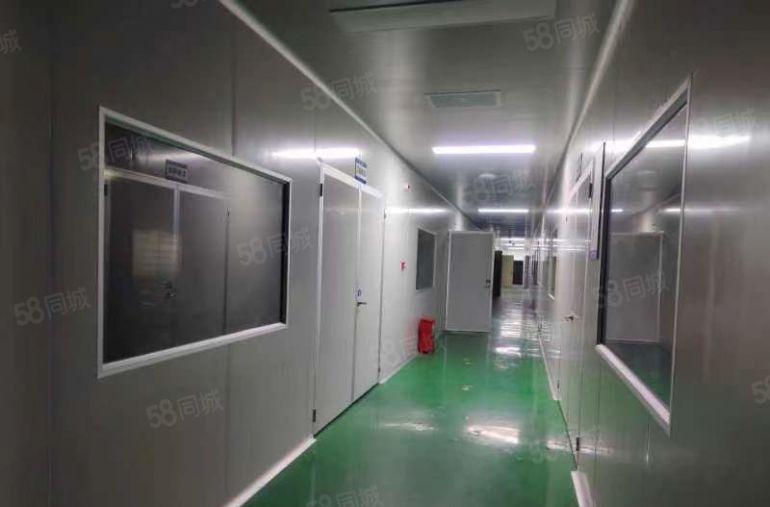 东莞石排低价厂房出租无尘车间现成办公室装修水电齐全
