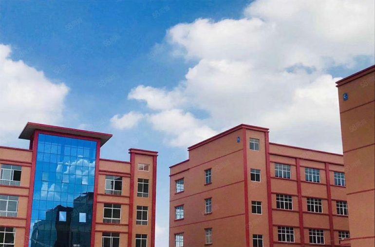 石排镇 产业园原房东独院 厂房出租 15元优惠划算 专精