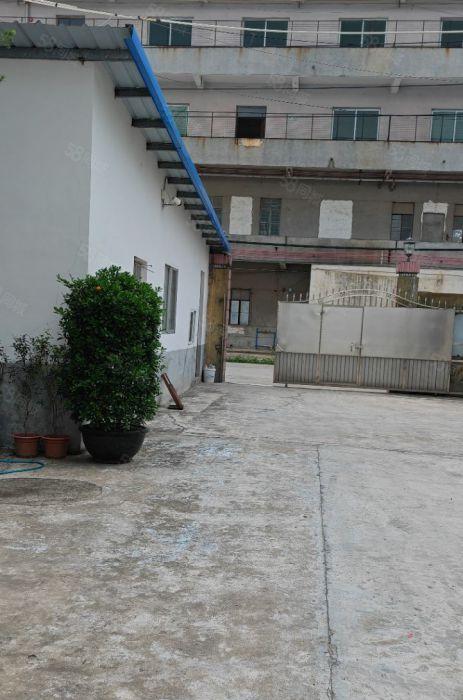 石排独门独院厂房出租，独院厂房出租