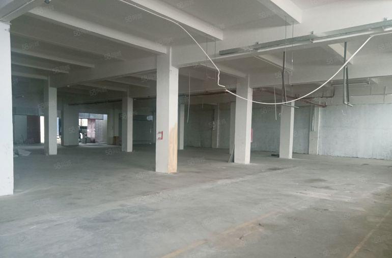 中堂  原房东一楼1000平方，厂房出租  低价10元