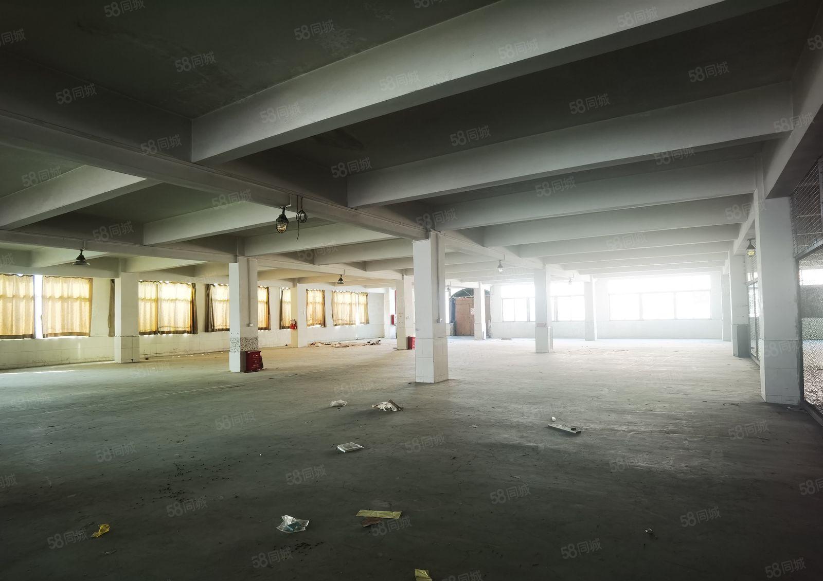 中堂镇独院标准厂房出租二楼2000平方带装修价格优惠车位充足