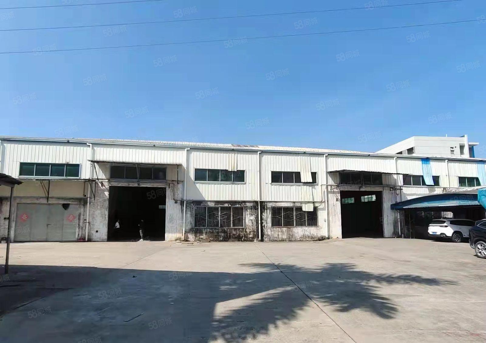中堂单一层厂房招租.