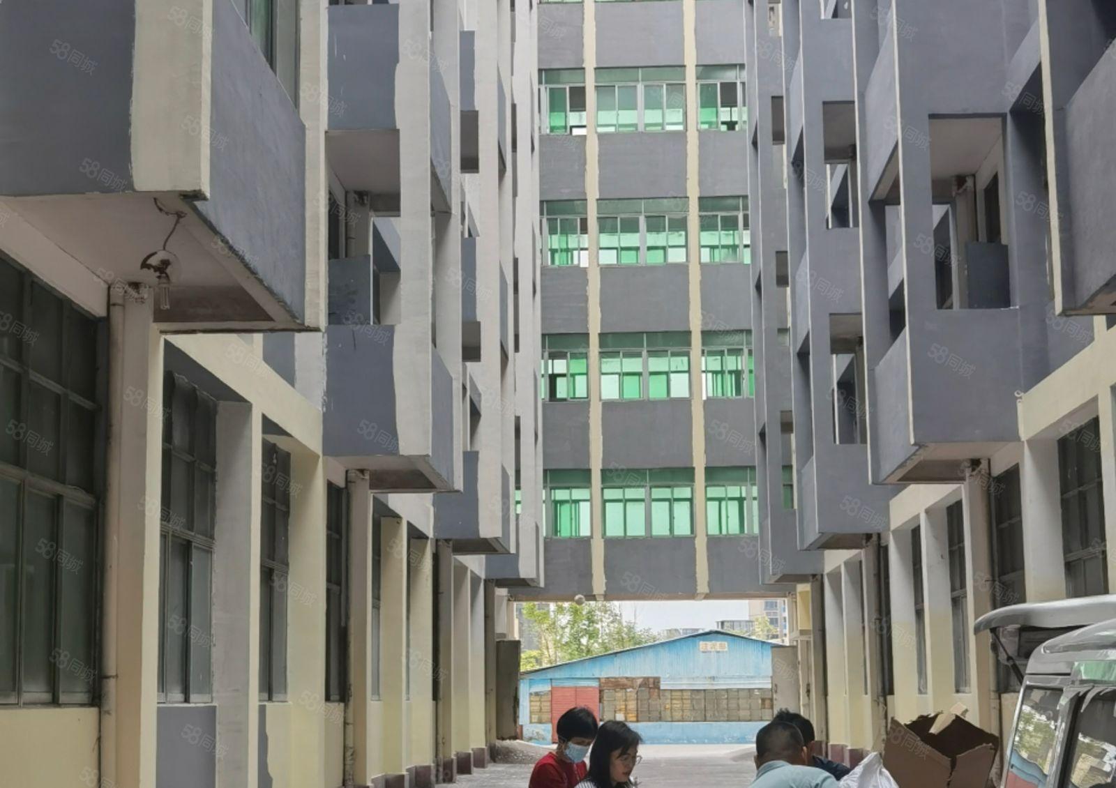 全新独门独院花园式厂房低价出租，国有红本，工业用地，大小可分