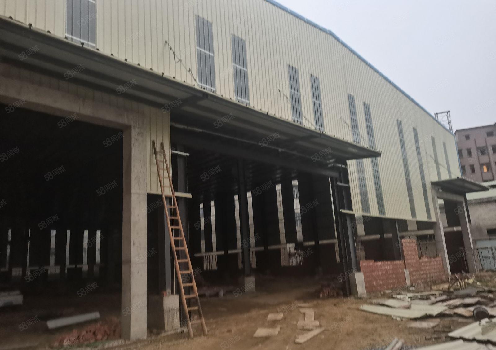 中堂镇原房东厂房急租，急租，急租