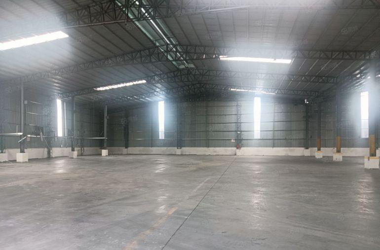 中堂 全新独院3000平方 高10米单一层钢构厂房出租