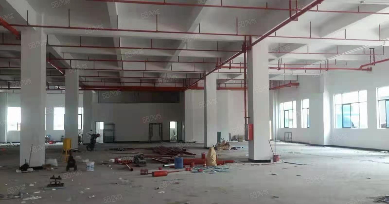 （形象厂房）中堂镇砖墙到顶单一层厂房