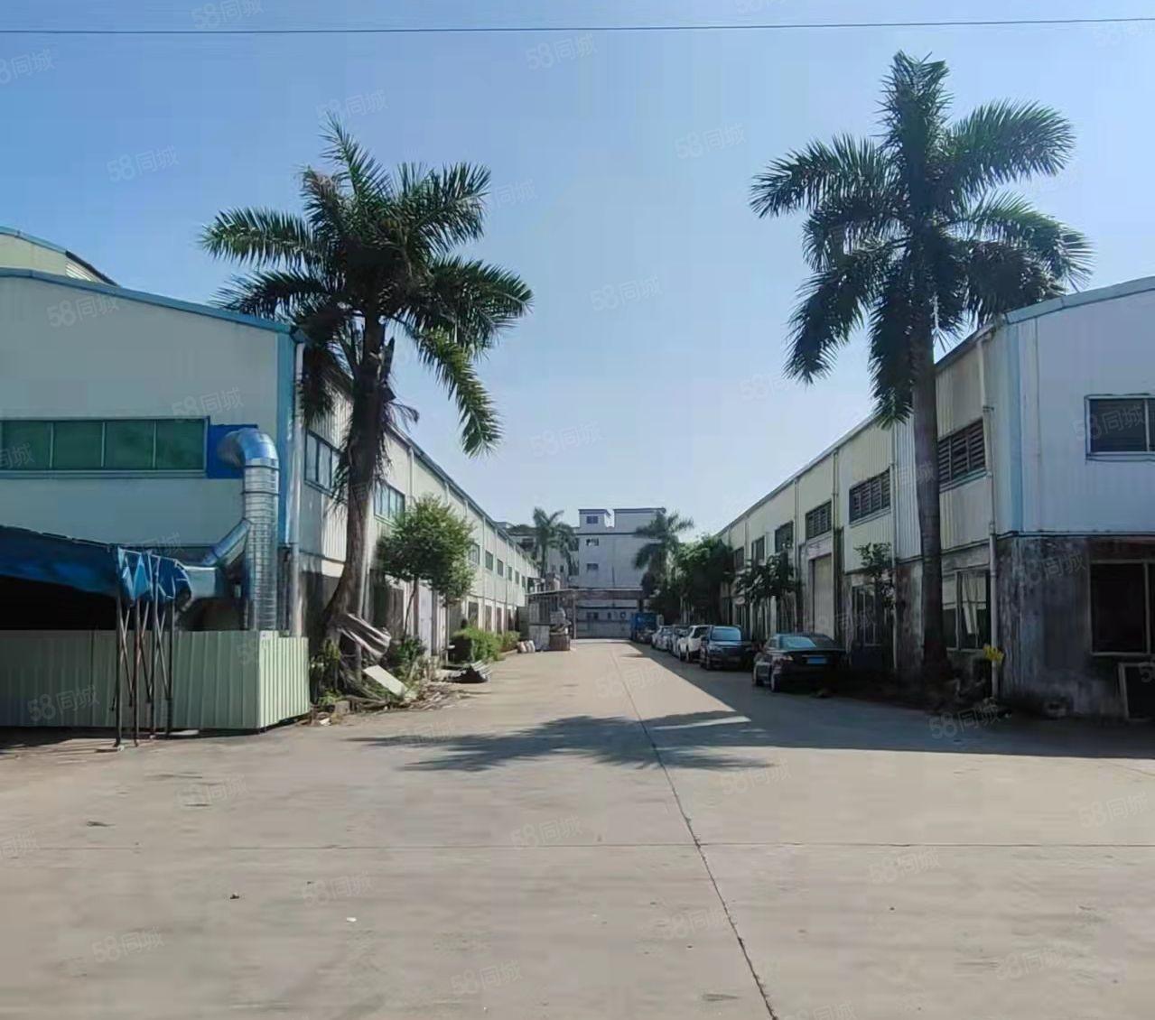 中堂单一层厂房招租.