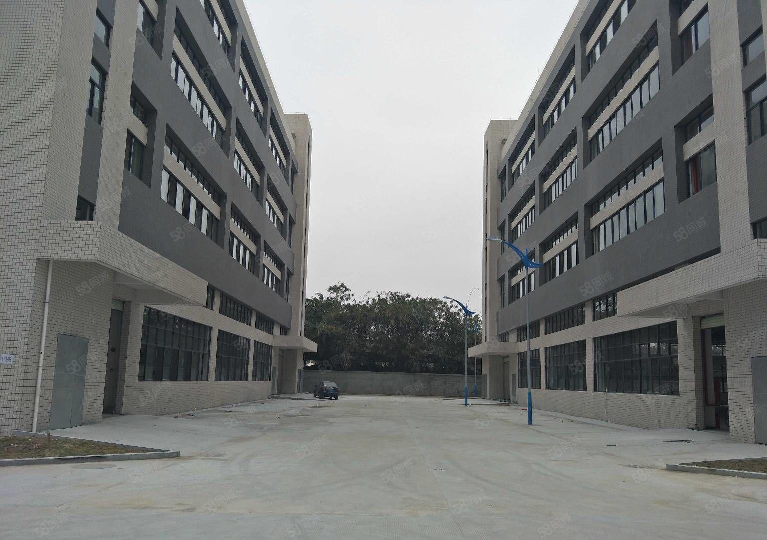 中堂镇80000平方米智能智造高新产业园出租，可分租