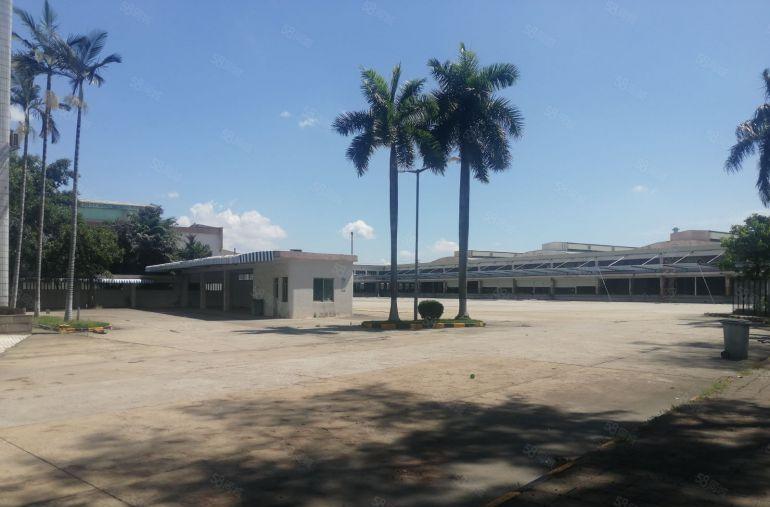 中堂超大空地40000多平方独门独院单一层高台仓低价出租