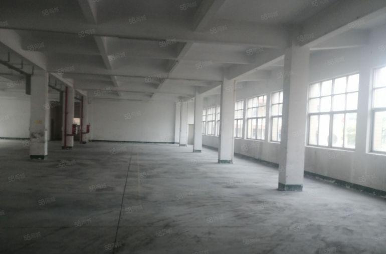 中堂独门独院5000平方（大小可分租）双证标准厂房出租