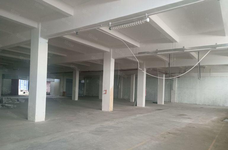 中堂  原房东一楼1000平方，厂房出租  低价10元