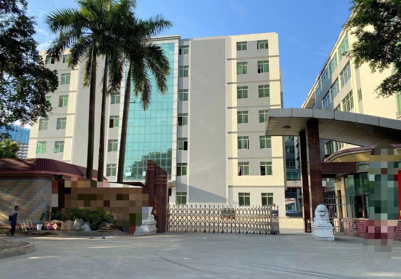 中堂北王路实业客户转租厂房出租价格便宜