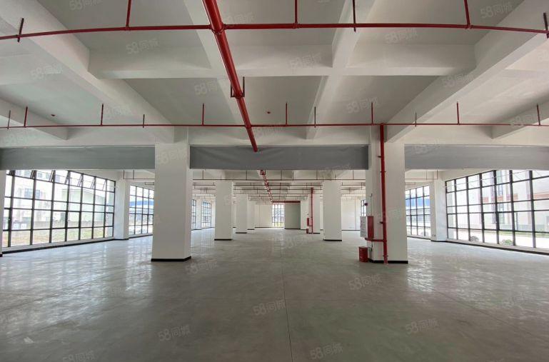 中堂镇食品正规园区楼上1000平方带环评蒸汽天燃气价格实惠