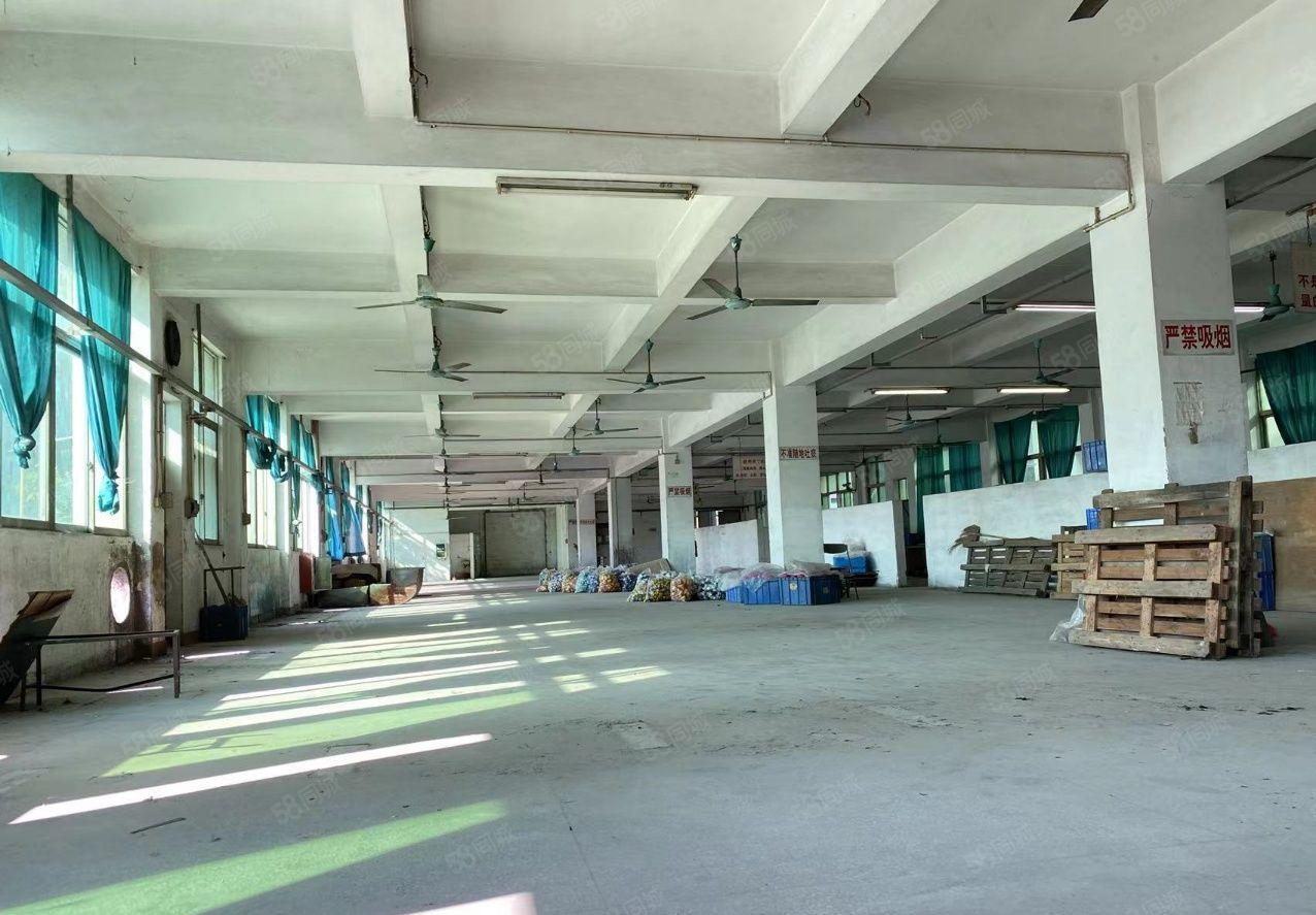 全新独门独院花园式厂房低价出租，国有红本，工业用地，大小可分