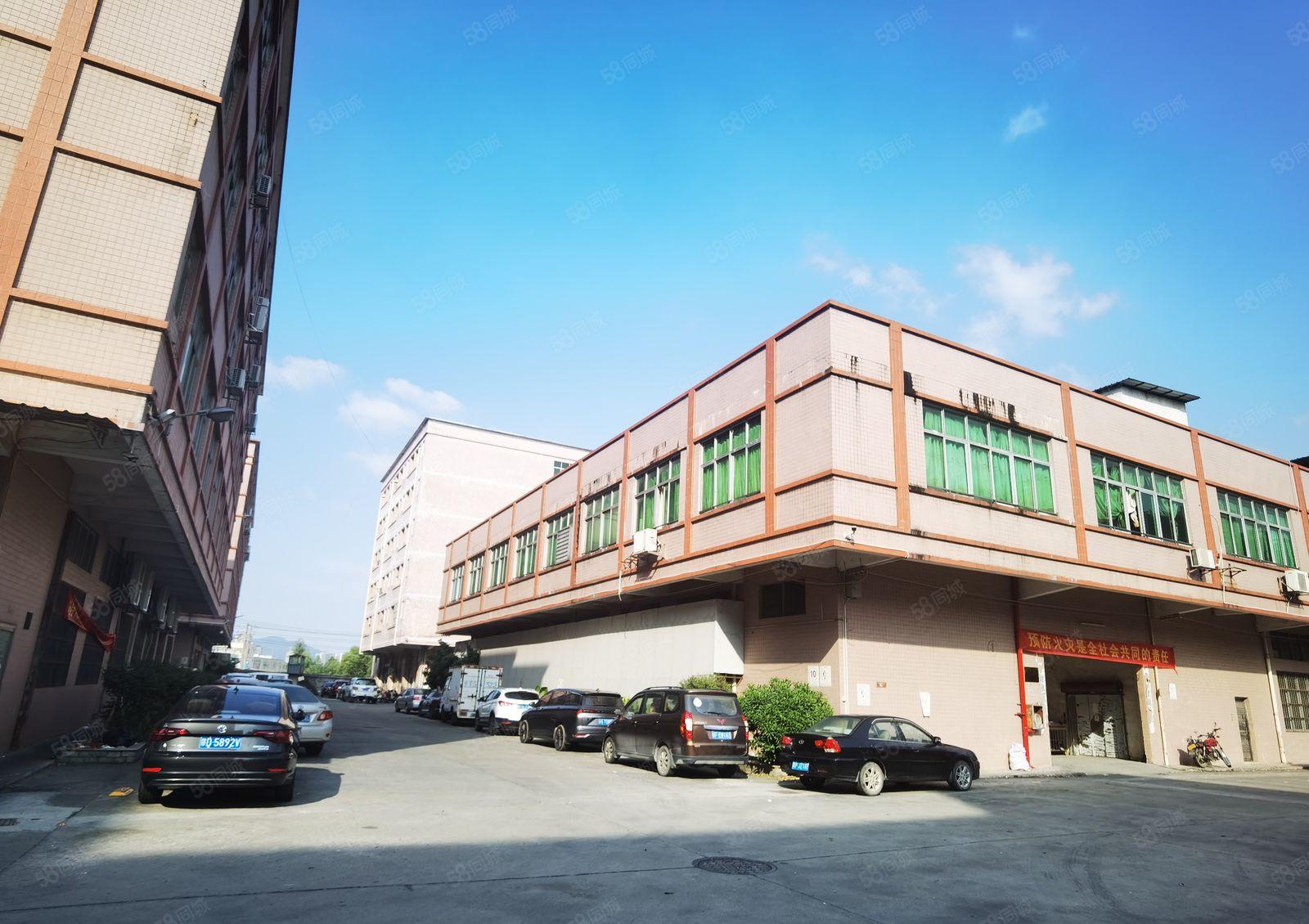 中堂镇独院标准厂房出租二楼2000平方带装修价格优惠车位充足