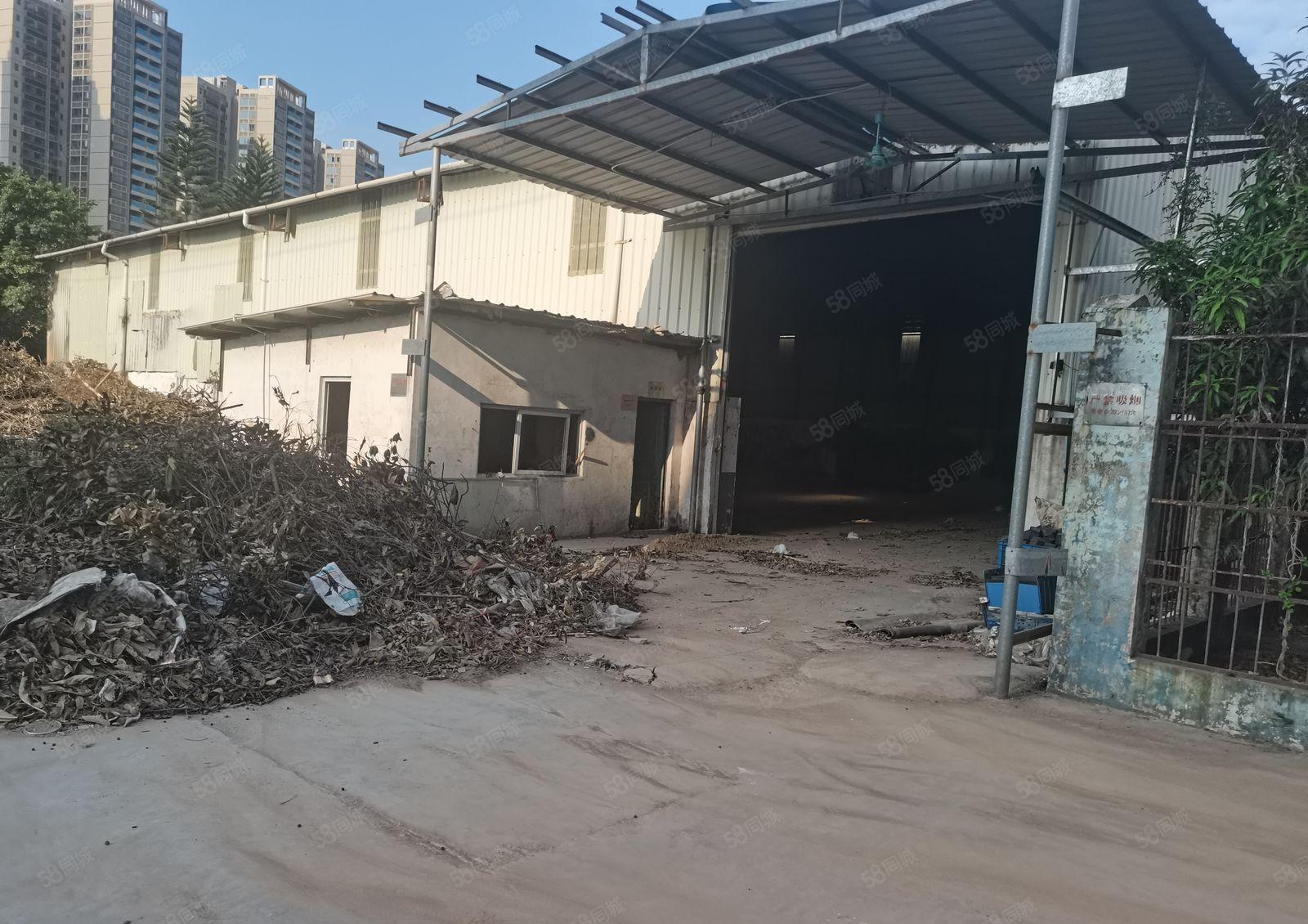 中堂镇原房东厂房急租，急租，急租