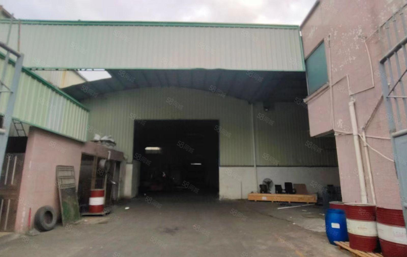 中堂镇单层9米高独院厂房低价出租（电大）
