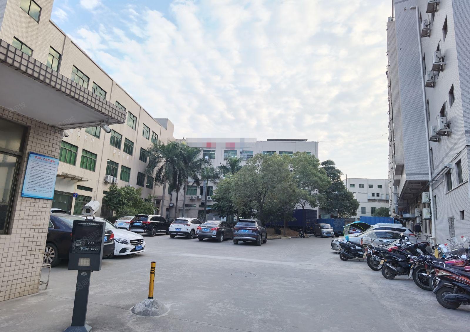 中堂镇独院标准厂房出租6000平方可分租带装修证件齐价格优惠