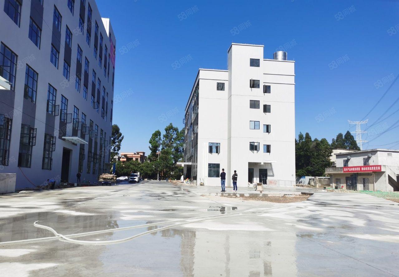 中堂镇全新高新产业园厂房出租