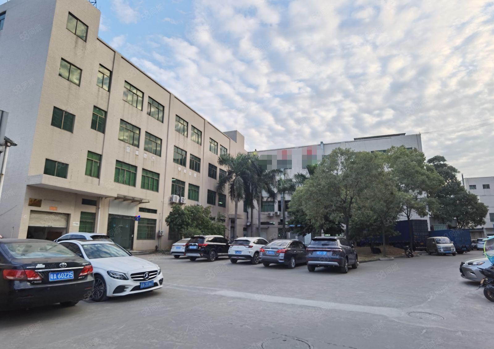 中堂镇独院标准厂房出租6000平方可分租带装修证件齐价格优惠