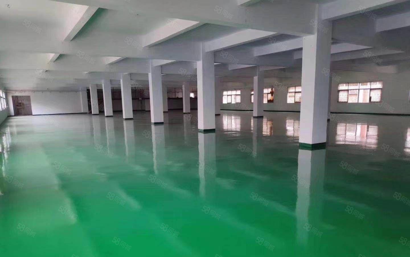 中堂107国道厂房1200平低价出租