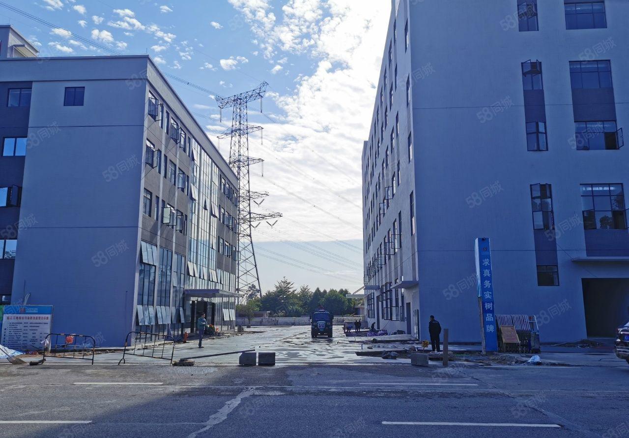 中堂镇全新高新产业园厂房出租