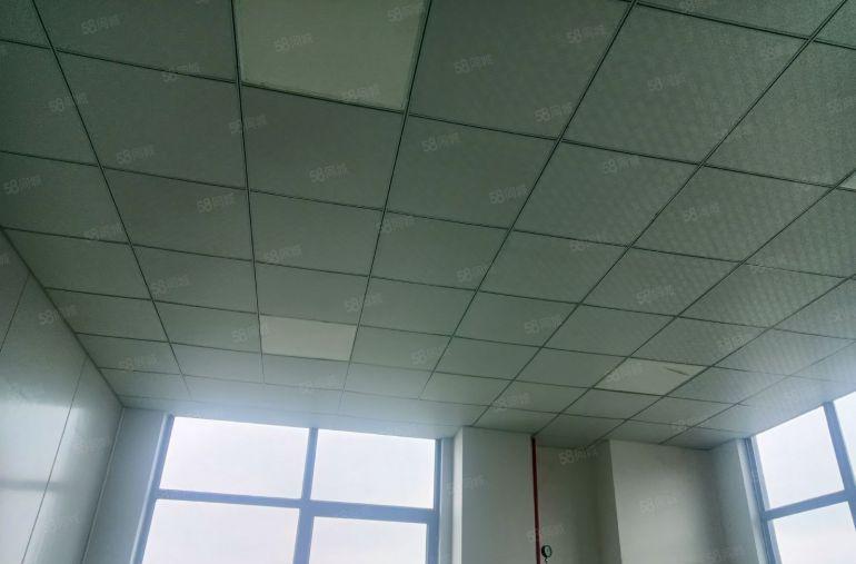 中堂镇 全新标准厂房 仓库2000平方，原房东低价出租