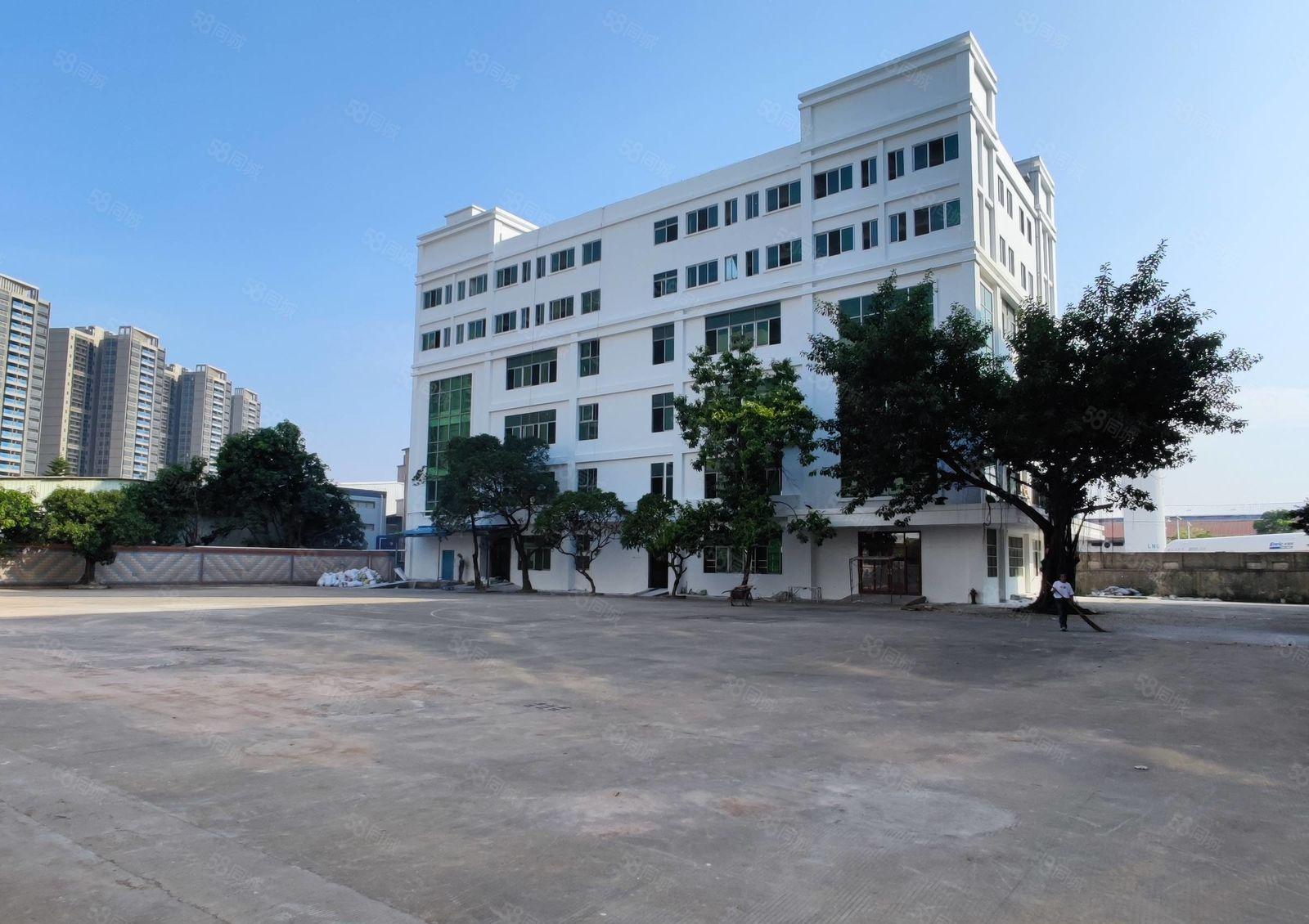 中堂一手房东花园式红本厂房招租，北王路边，工业用地，可办环评