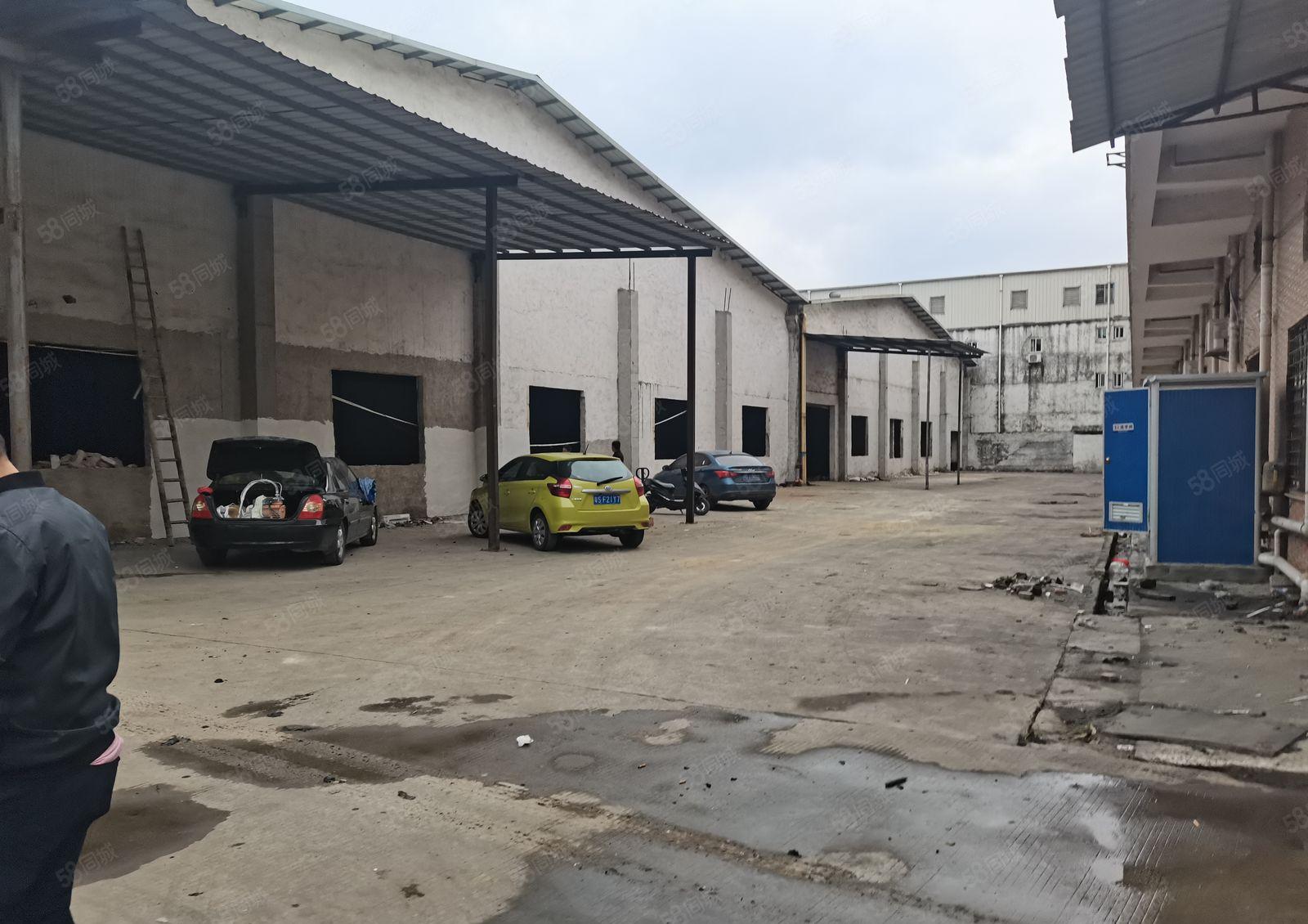中堂镇原房东厂房急租，急租，急租