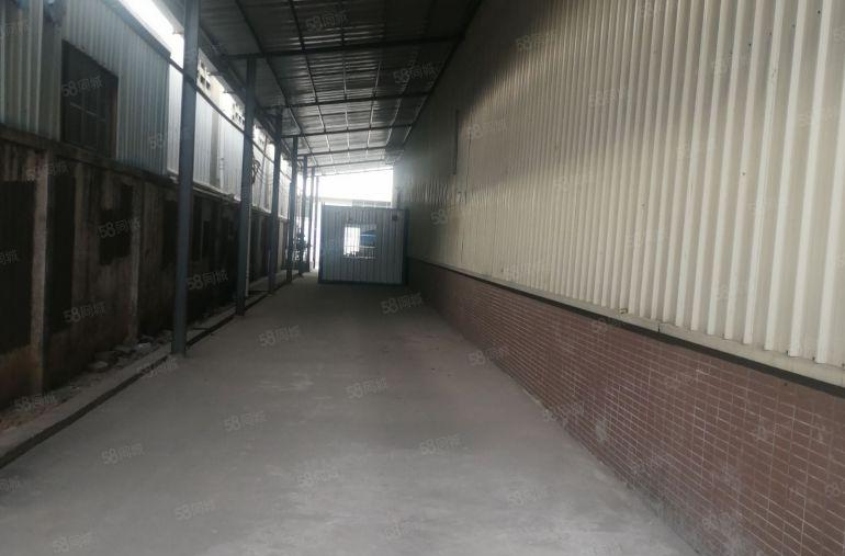 中堂原房东带牛角单一层2000平方独门独院厂房