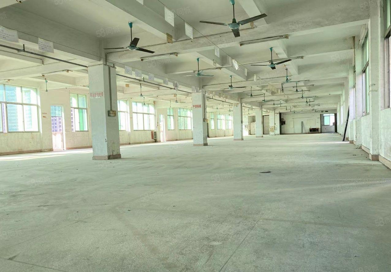全新独门独院花园式厂房低价出租，国有红本，工业用地，大小可分