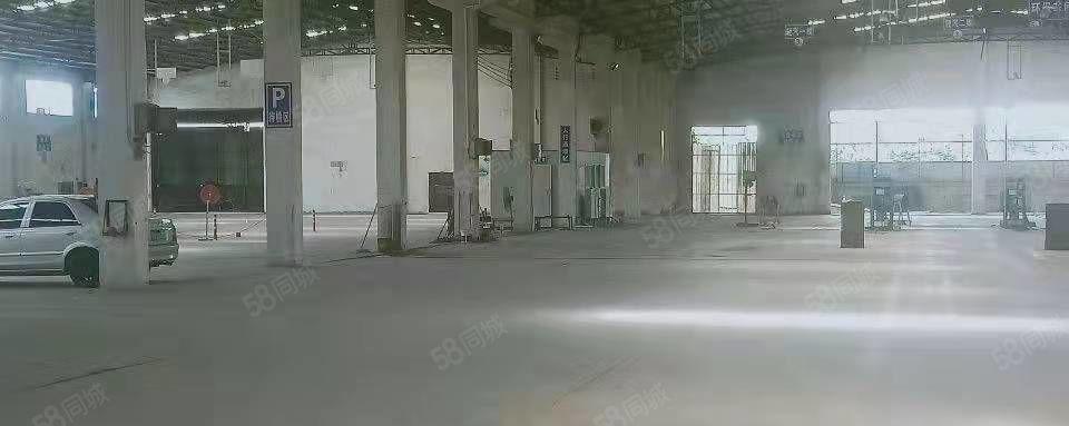 中堂单一层7000平方标准钢结构