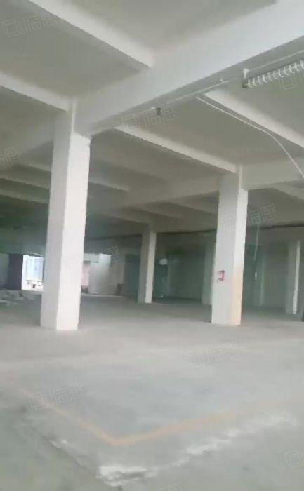 中堂  原房东一楼1000平方，厂房出租  低价10元